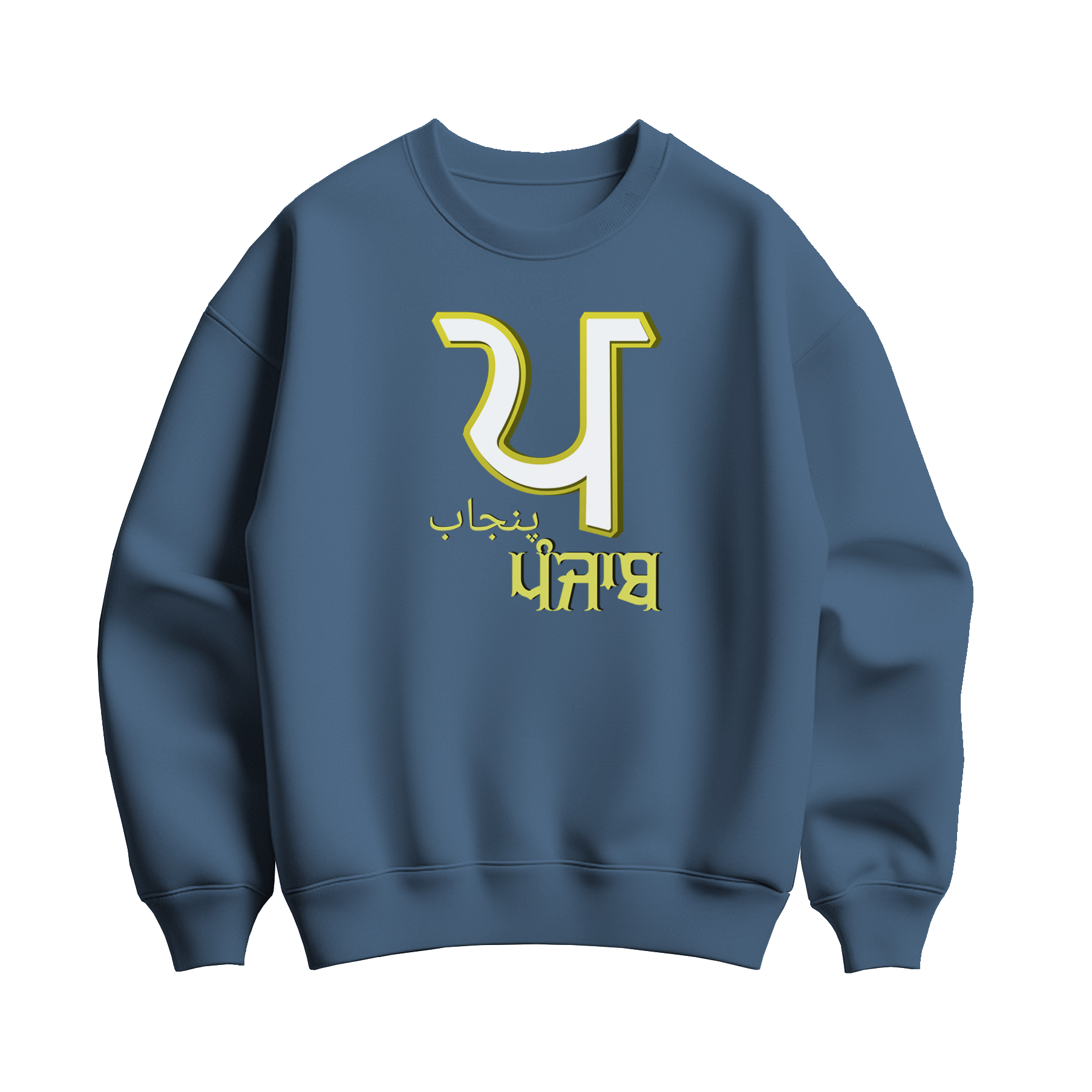 Punjab intelligence overview